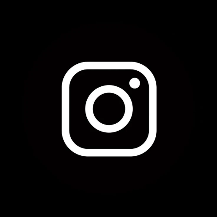 Instagram Video or Reel Views